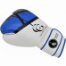 Leather Boxing Gloves BG-1004