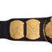 WWE Winged Eagle Championship Replica Title Belt