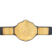 WWE World Heavyweight Championship Retro Replica Title Belt