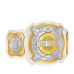 WWE Women's Tag Team Replica Championship Title Belt
