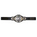WWE NXT Championship 2024 Replica Title Belt