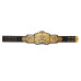 WWE Tag Team Championship Replica Title Belt