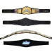 WWE SmackDown Ruthless Aggression Tag Team Championship Replica Title Belt