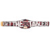 The Dudley Boyz Signature Series World Tag Team Championship Title Belt