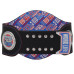 John Cena Legacy Championship Collector's Title Belt