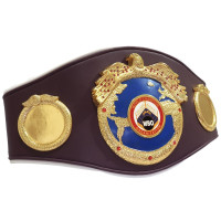 WBO World Champion title