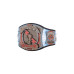 CM Punk 434 Day Spinner Title Belt