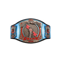 CM Punk 434 Day Spinner Title Belt CM Punk 434 Day Spinner Title Belt