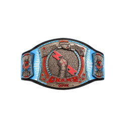 CM Punk 434 Day Spinner Title Belt